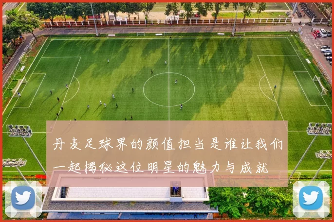 丹麦足球界的颜值担当是谁让我们一起揭秘这位明星的魅力与成就