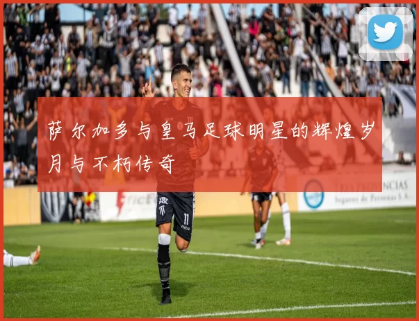 萨尔加多与皇马足球明星的辉煌岁月与不朽传奇