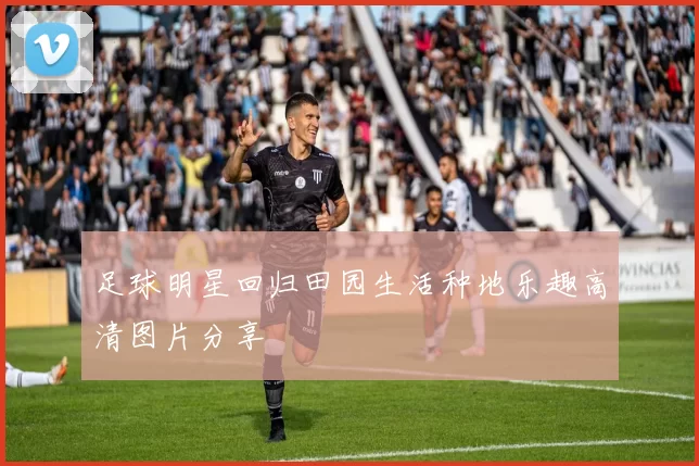 足球明星回归田园生活种地乐趣高清图片分享