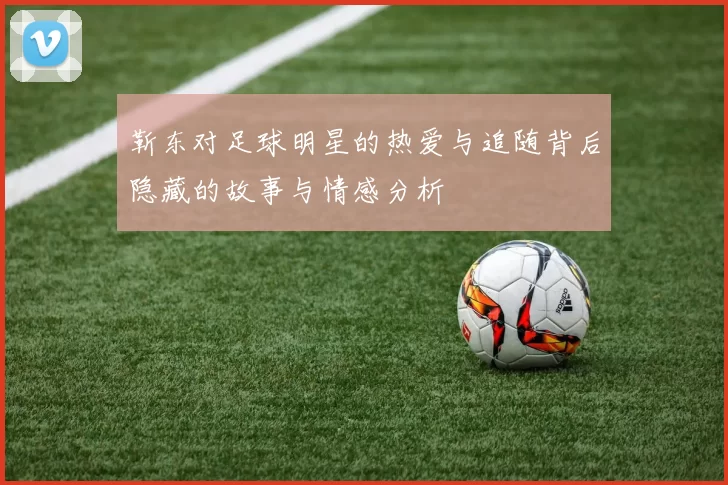 靳东对足球明星的热爱与追随背后隐藏的故事与情感分析