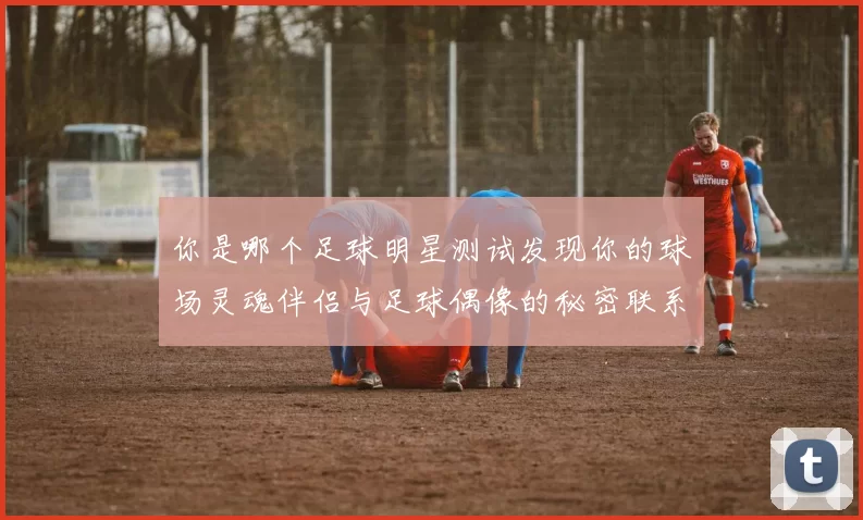 你是哪个足球明星测试发现你的球场灵魂伴侣与足球偶像的秘密联系