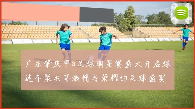 广东肇庆甲a足球明星赛盛大开启球迷齐聚共享激情与荣耀的足球盛宴