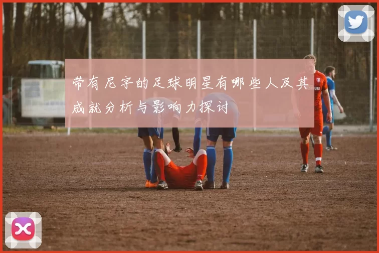 带有尼字的足球明星有哪些人及其成就分析与影响力探讨