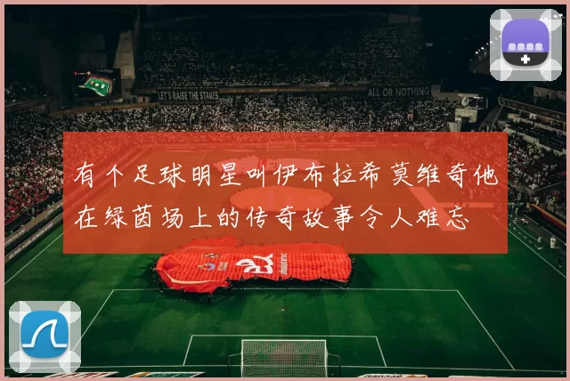 有个足球明星叫伊布拉希莫维奇他在绿茵场上的传奇故事令人难忘