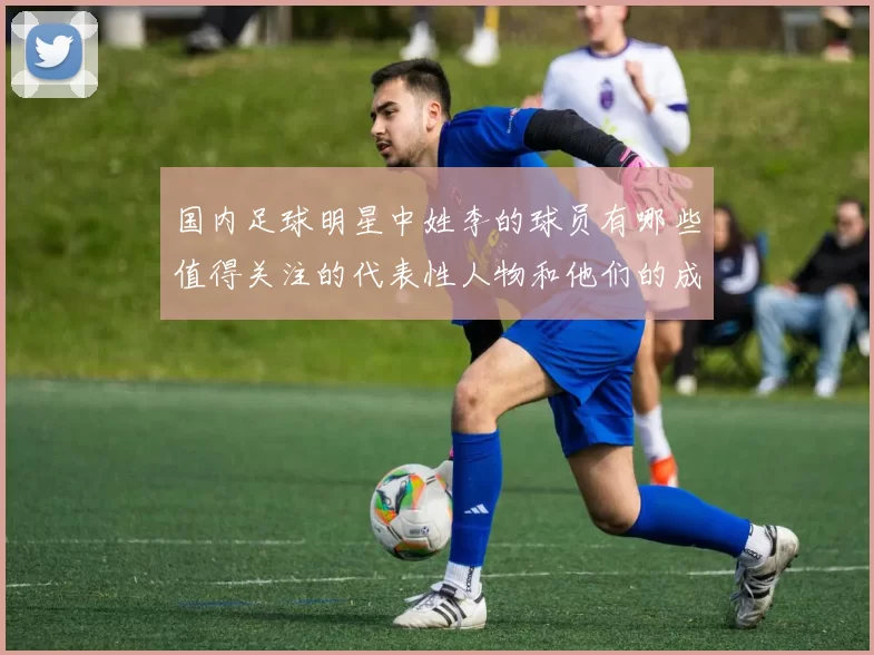 国内足球明星中姓李的球员有哪些值得关注的代表性人物和他们的成就