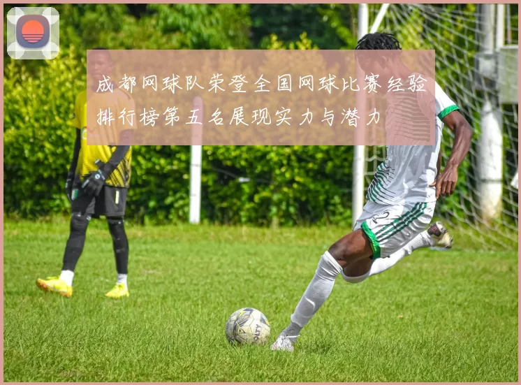 成都网球队荣登全国网球比赛经验排行榜第五名展现实力与潜力