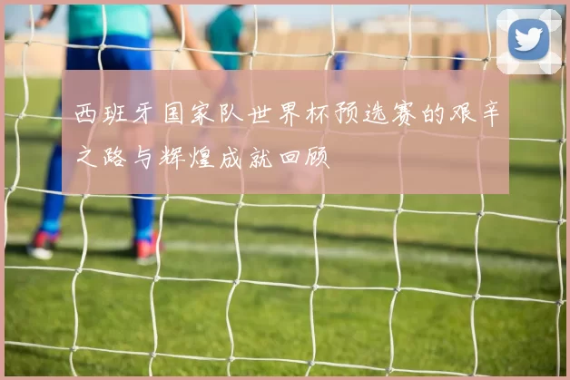 西班牙国家队世界杯预选赛的艰辛之路与辉煌成就回顾