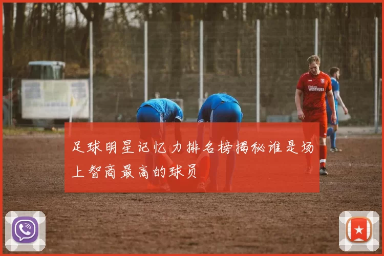 足球明星记忆力排名榜揭秘谁是场上智商最高的球员