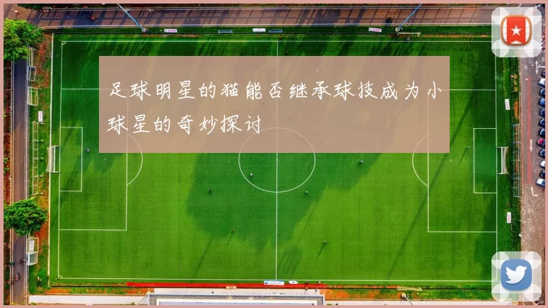 足球明星的猫能否继承球技成为小球星的奇妙探讨