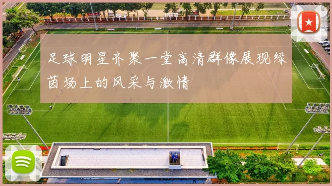 足球明星齐聚一堂高清群像展现绿茵场上的风采与激情