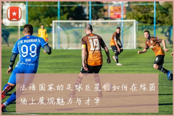 法语国家的足球巨星们如何在绿茵场上展现魅力与才华