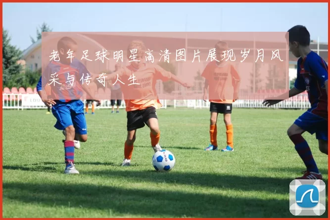 老年足球明星高清图片展现岁月风采与传奇人生