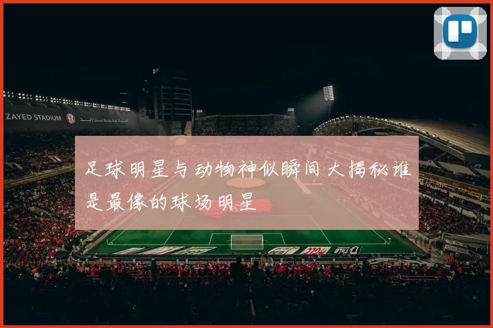 足球明星与动物神似瞬间大揭秘谁是最像的球场明星