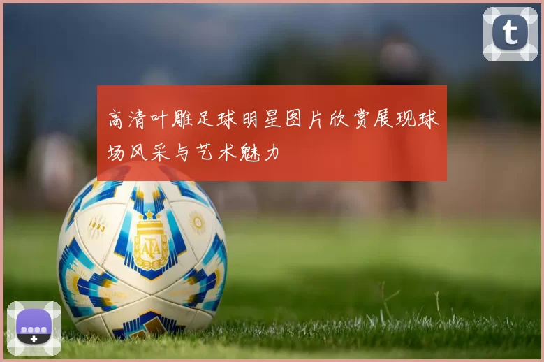 高清叶雕足球明星图片欣赏展现球场风采与艺术魅力