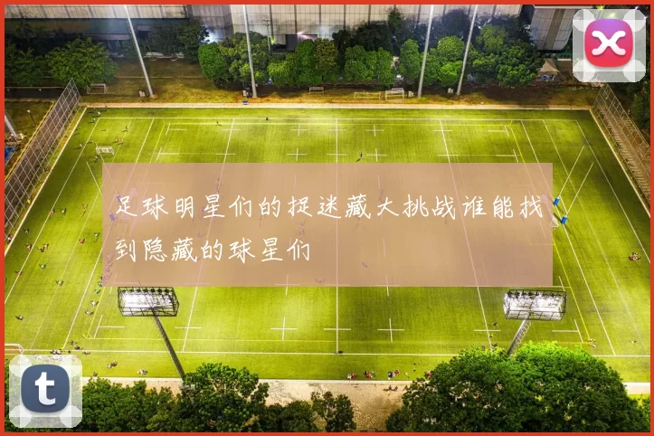 足球明星们的捉迷藏大挑战谁能找到隐藏的球星们